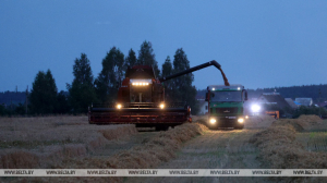 Исаченко на вечерней уборке урожая: нужно быть рациональным и использовать каждую подходящую минуту