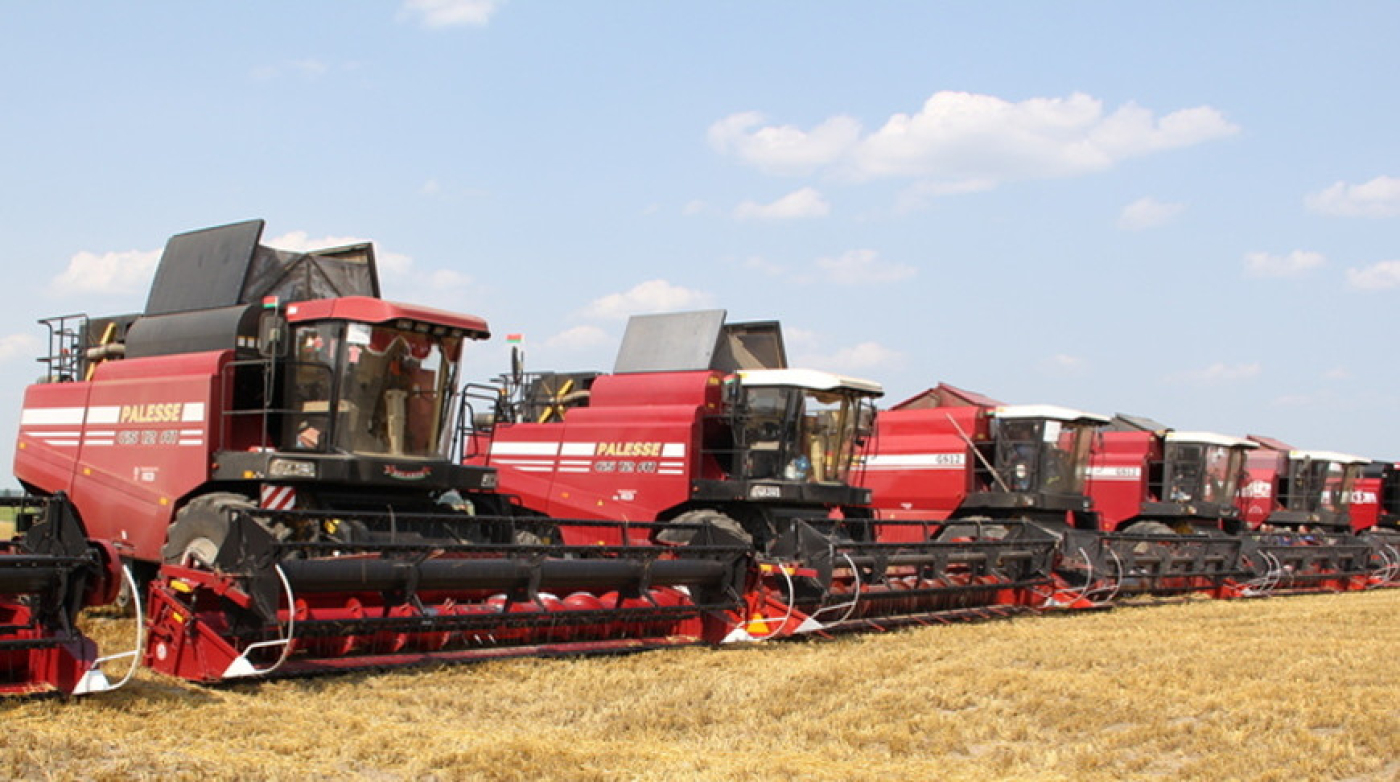 Старинным обрядом "Зажынкі" дали старт жатве в Каменецком районе