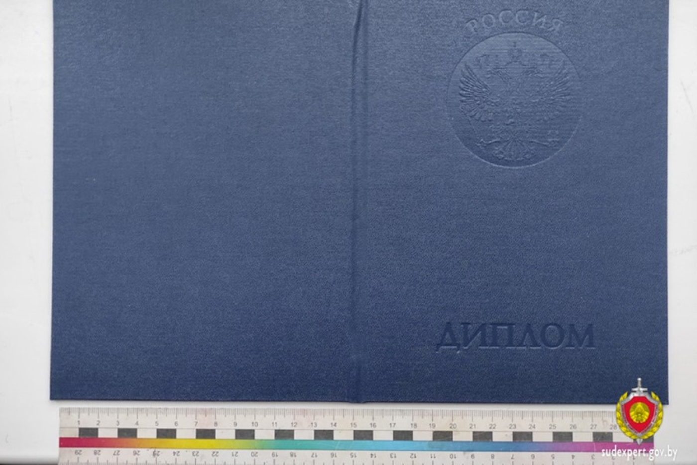 Судебные эксперты Минска установили поддельные иностранные дипломы о высшем образовании