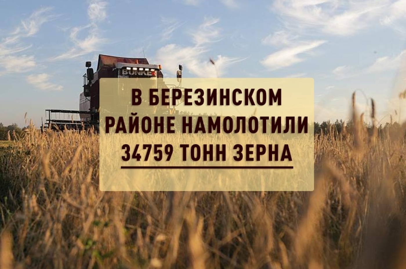 Жатву-2024 завершили пять хозяйств района