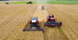 В Беларуси намолочено более 1,1 млн тонн зерна с учетом рапса