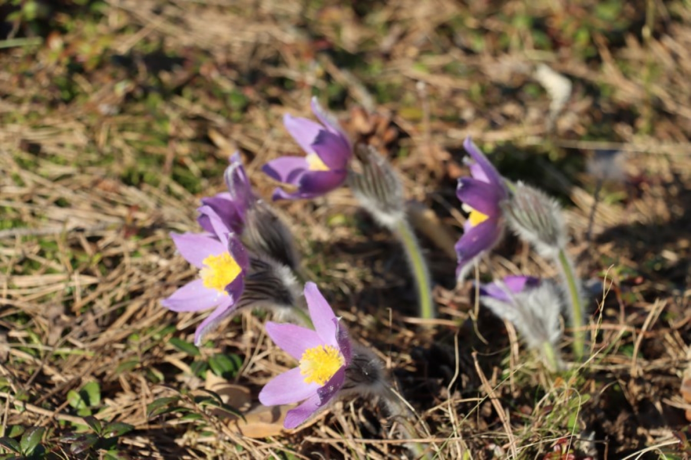 Погода в Беларуси в выходные: небольшие дожди и до +17 °С