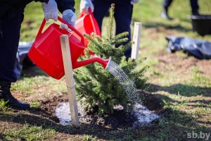 Белстат: в республиканском субботнике поучаствовали 2 млн 302,3 тыс. человек