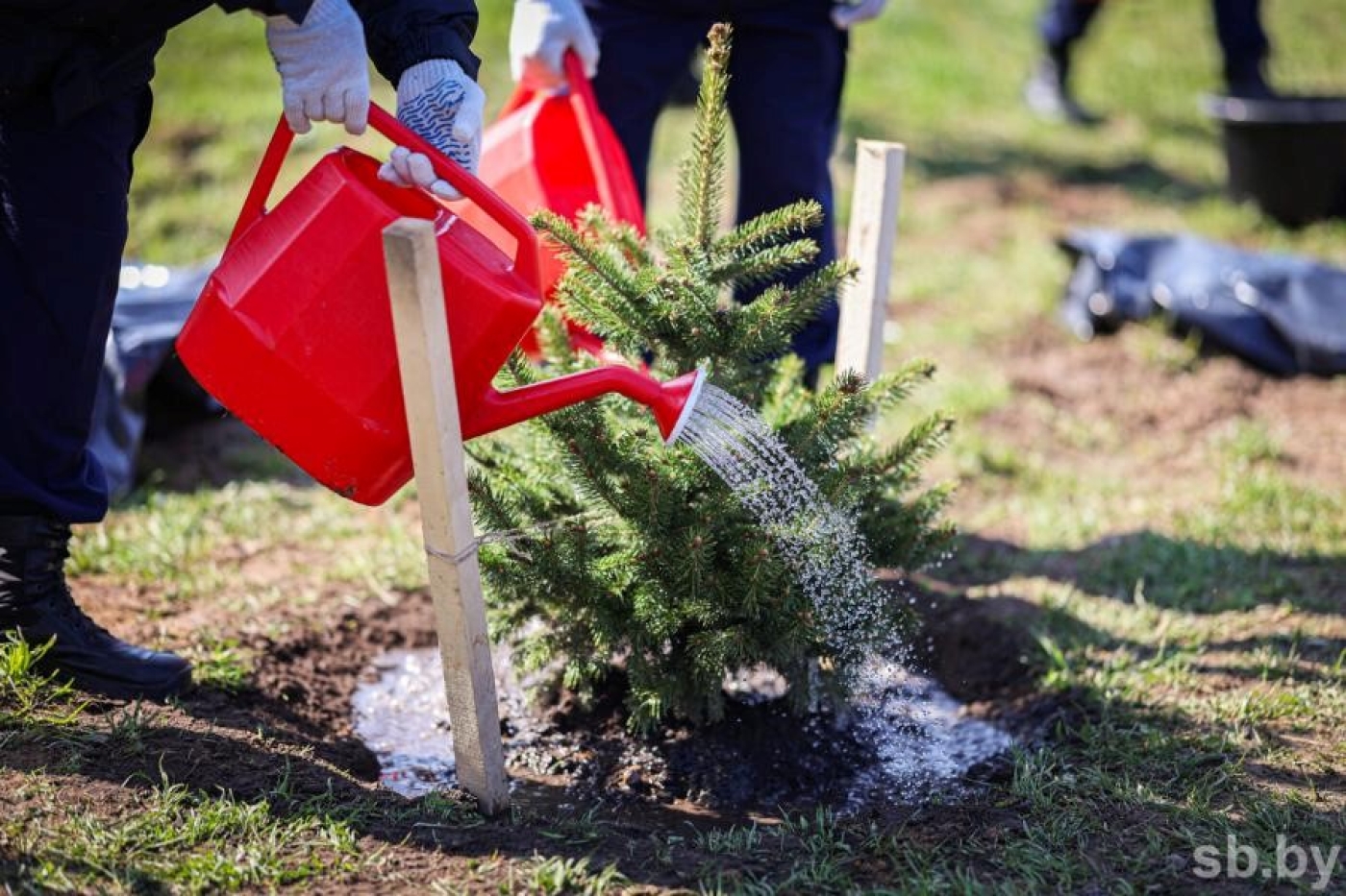 Белстат: в республиканском субботнике поучаствовали 2 млн 302,3 тыс. человек