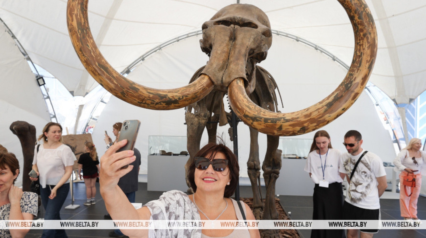 Самый полный скелет мамонта и редкие монеты. Что представил Новосибирск на площади у Дворца спорта
