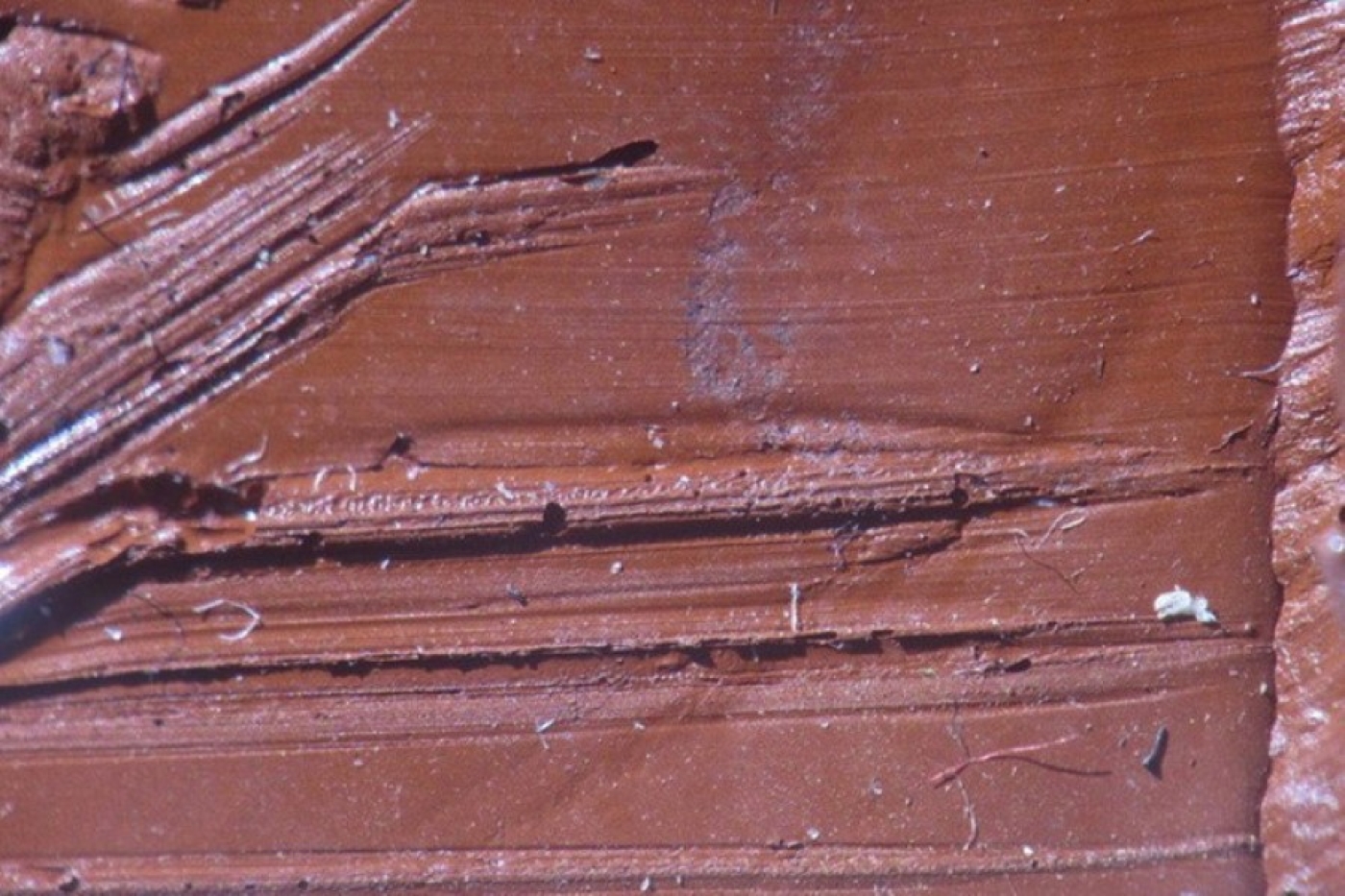 В Минске вор проник в чужой дом с помощью топора. Злоумышленника установили по следам взлома