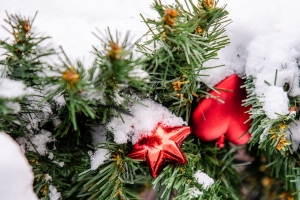 Снег с дождем и порывистый ветер ожидаются сегодня в Беларуси