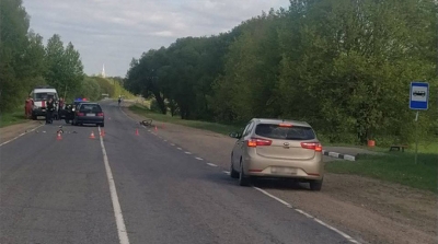 Автомобиль насмерть сбил велосипедиста в Шкловском районе