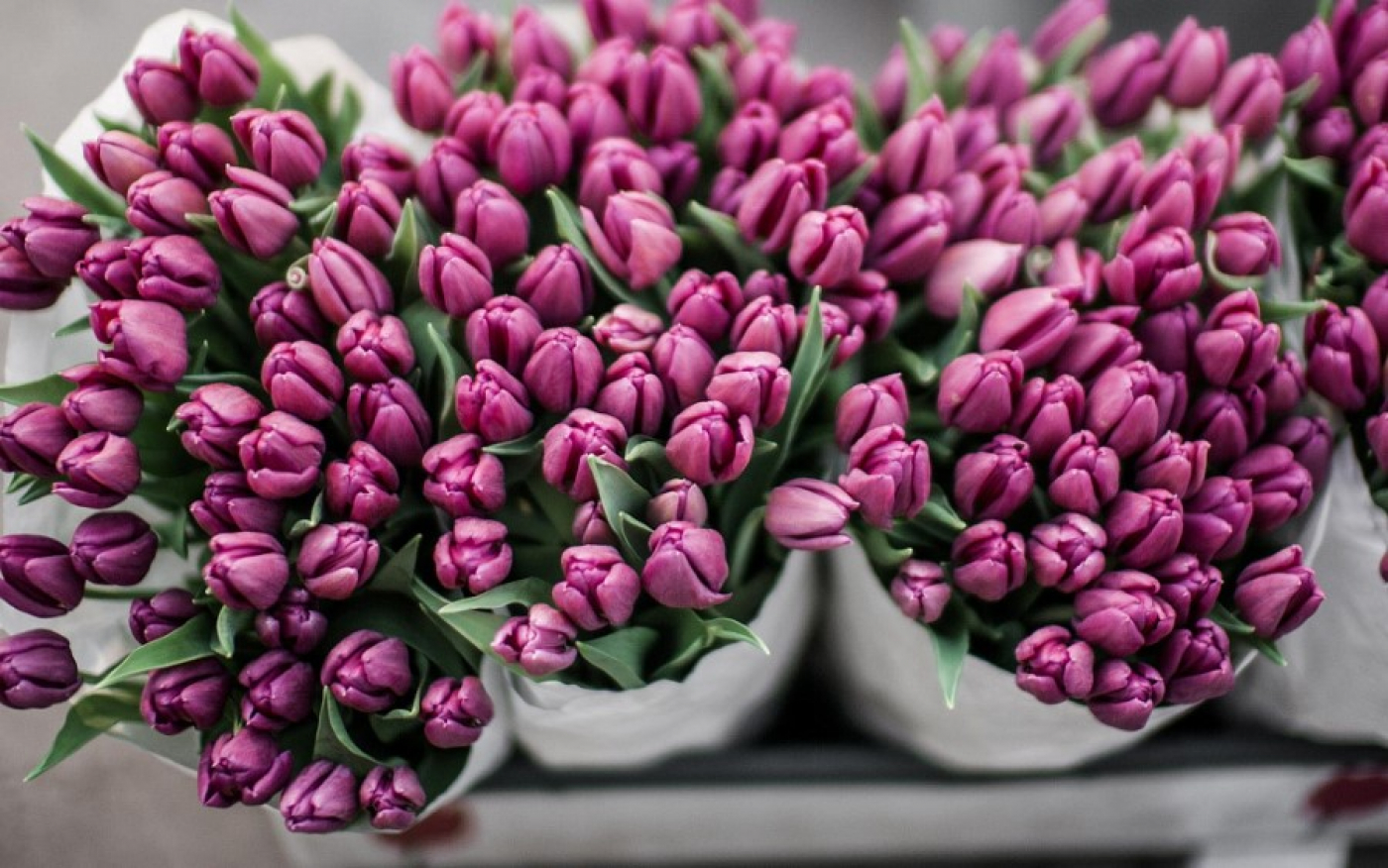 В преддверии 8 Марта мошенники запустили новую схему обмана