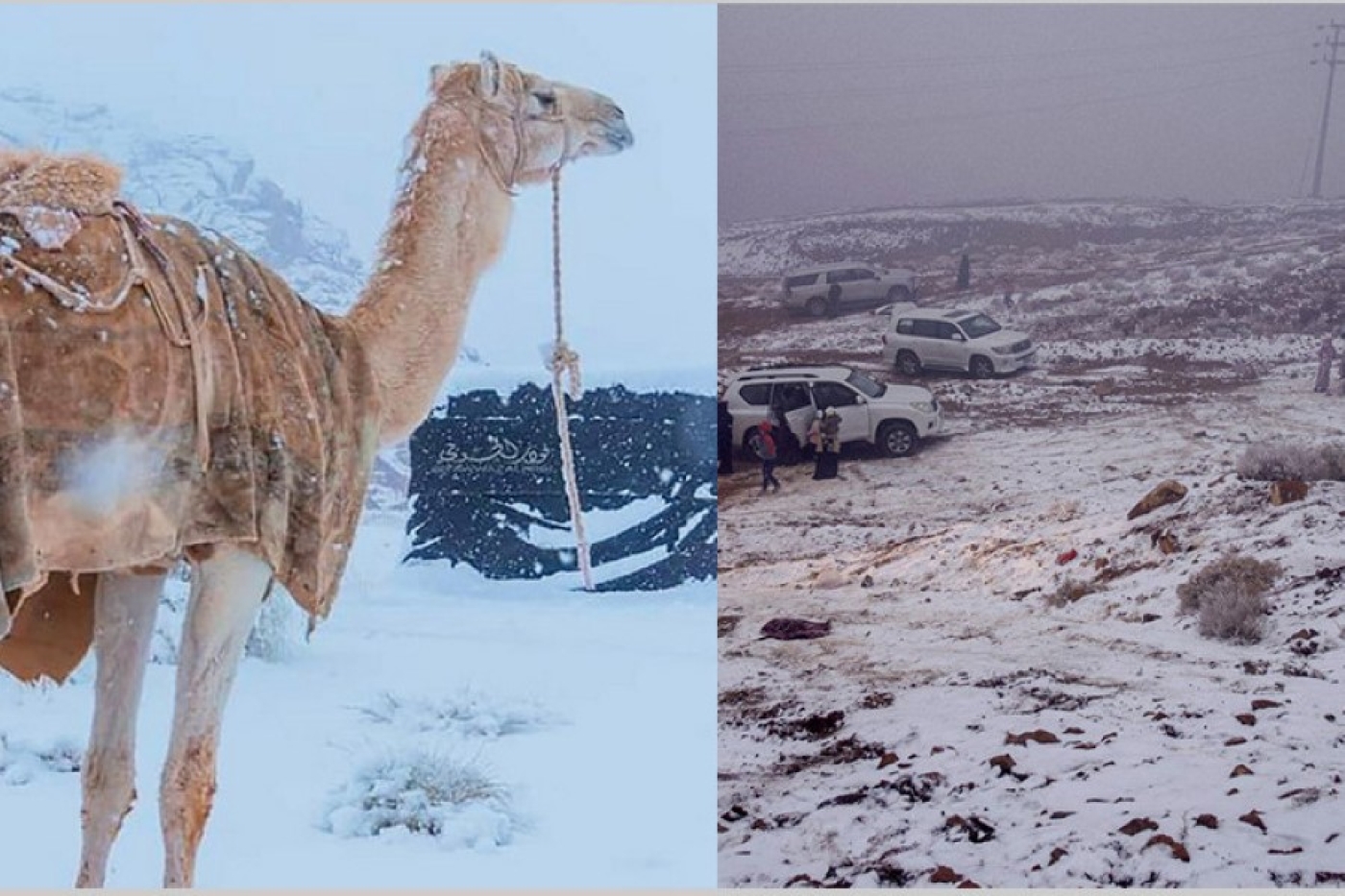 Редкое и неожиданное природное явление: в Саудовской Аравии выпал снег