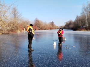 Ловись, рыбка… безопасно