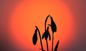 Слабая магнитная буря продолжается на Земле