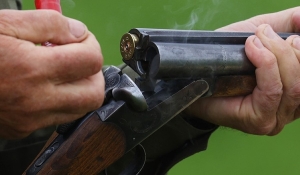 Охота на лося, оленя благородного и лань начинается в Беларуси