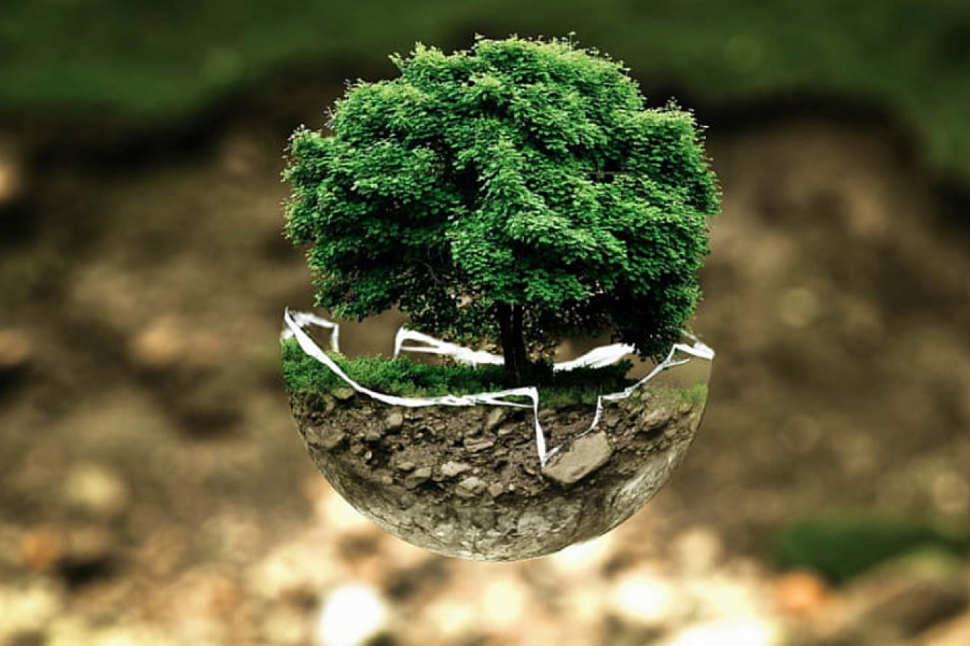 Месячник по сбору вторичных материальных ресурсов 