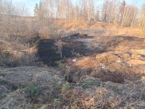 На прошлой неделе на территории Березинского района произошло 4 загорания сухой растительности