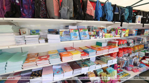 Матпомощь для подготовки к школе получили более 20,2 тыс. многодетных семей Минской области