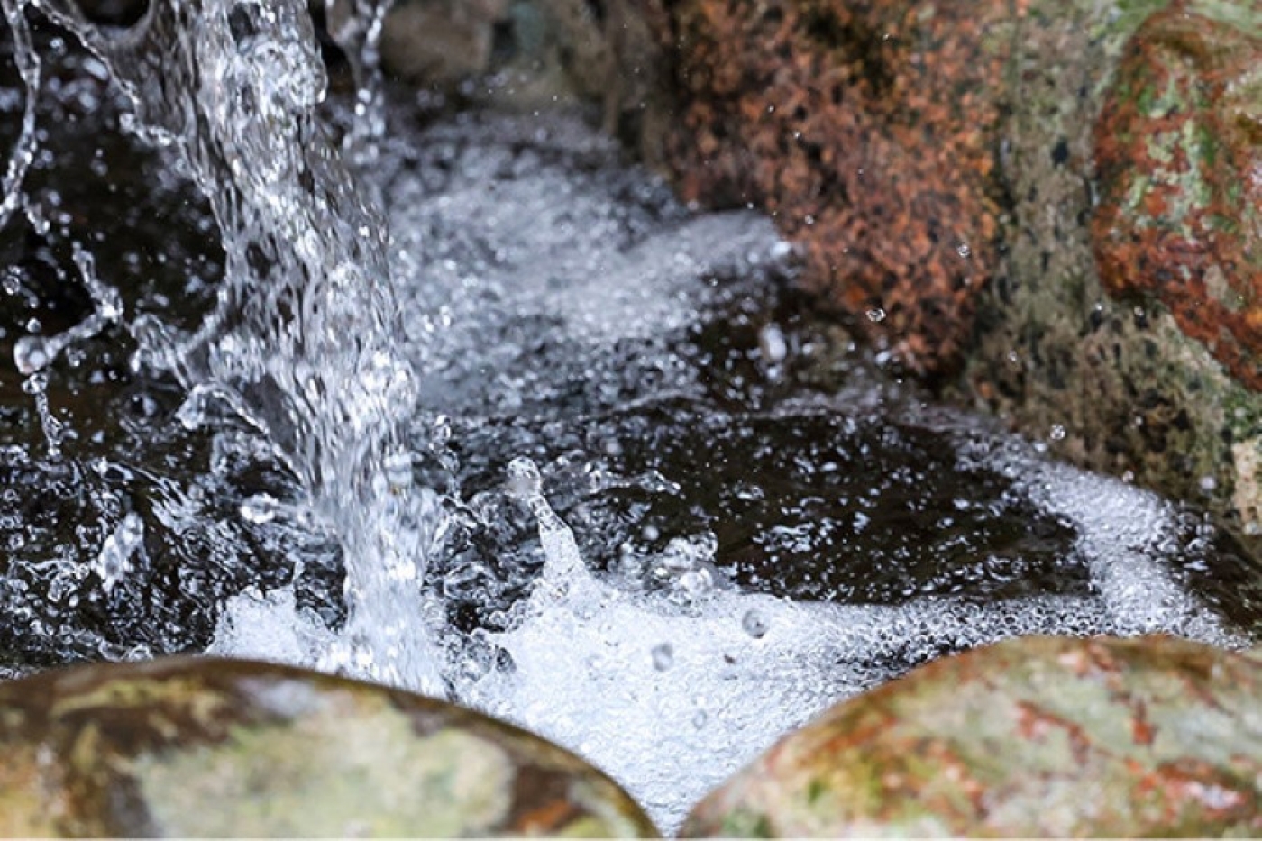 Кованые беседки и купели. Территории девяти родников благоустроили в 2025 году в Минской области