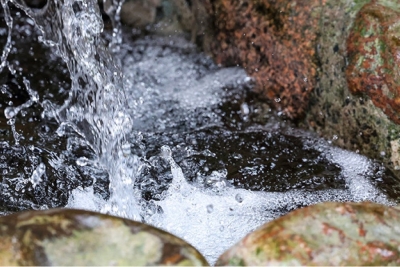 Кованые беседки и купели. Территории девяти родников благоустроили в 2025 году в Минской области