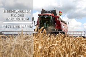 Жатва: Вышли на 70 процентов