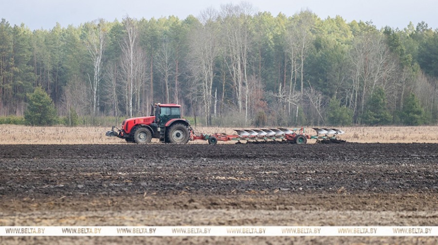 Посевные площади, подготовка техники и капризная погода. Как в Беларуси начинаются весенние сельхозработы
