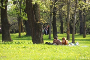 Врач рассказала, кто в группе риска проявления тяжелой реакции на укус насекомых