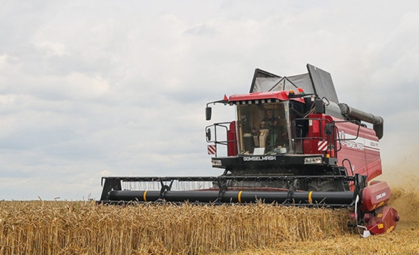 Аграрии Беларуси намолотили свыше 8,8 млн тонн зерна