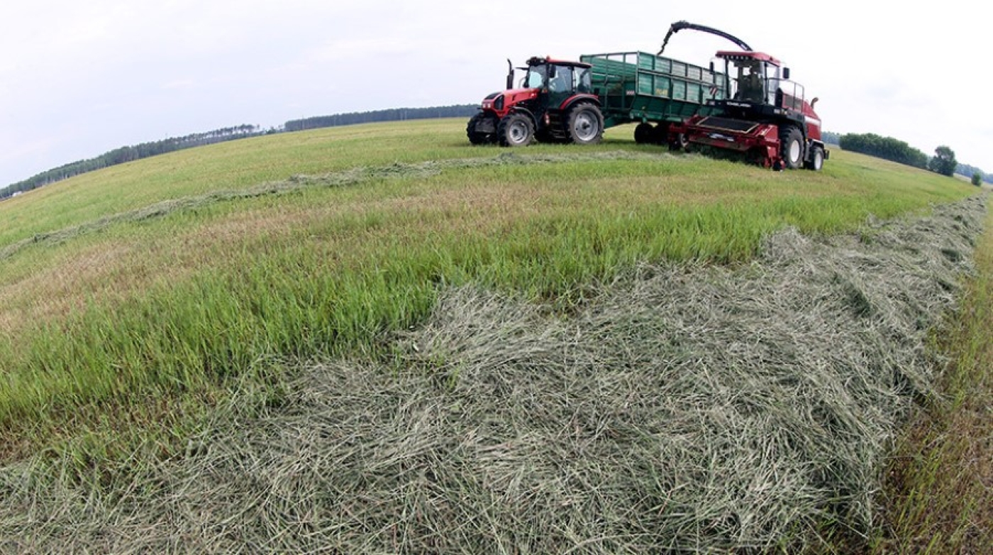 Более 2 тыс. единиц техники задействовано на заготовке кормов в Минской области
