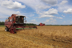 Профилактика правонарушений в период уборочной и заготовительной кампаний