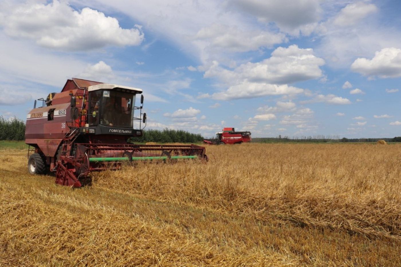 Профилактика правонарушений в период уборочной и заготовительной кампаний