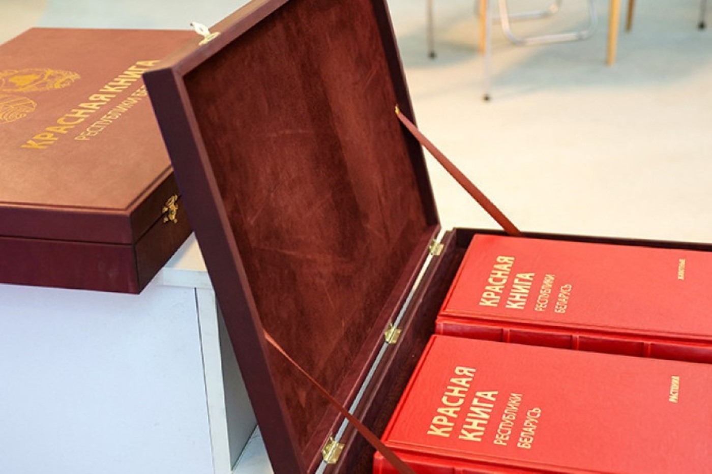 Пятое издание Красной книги презентовали в Минске