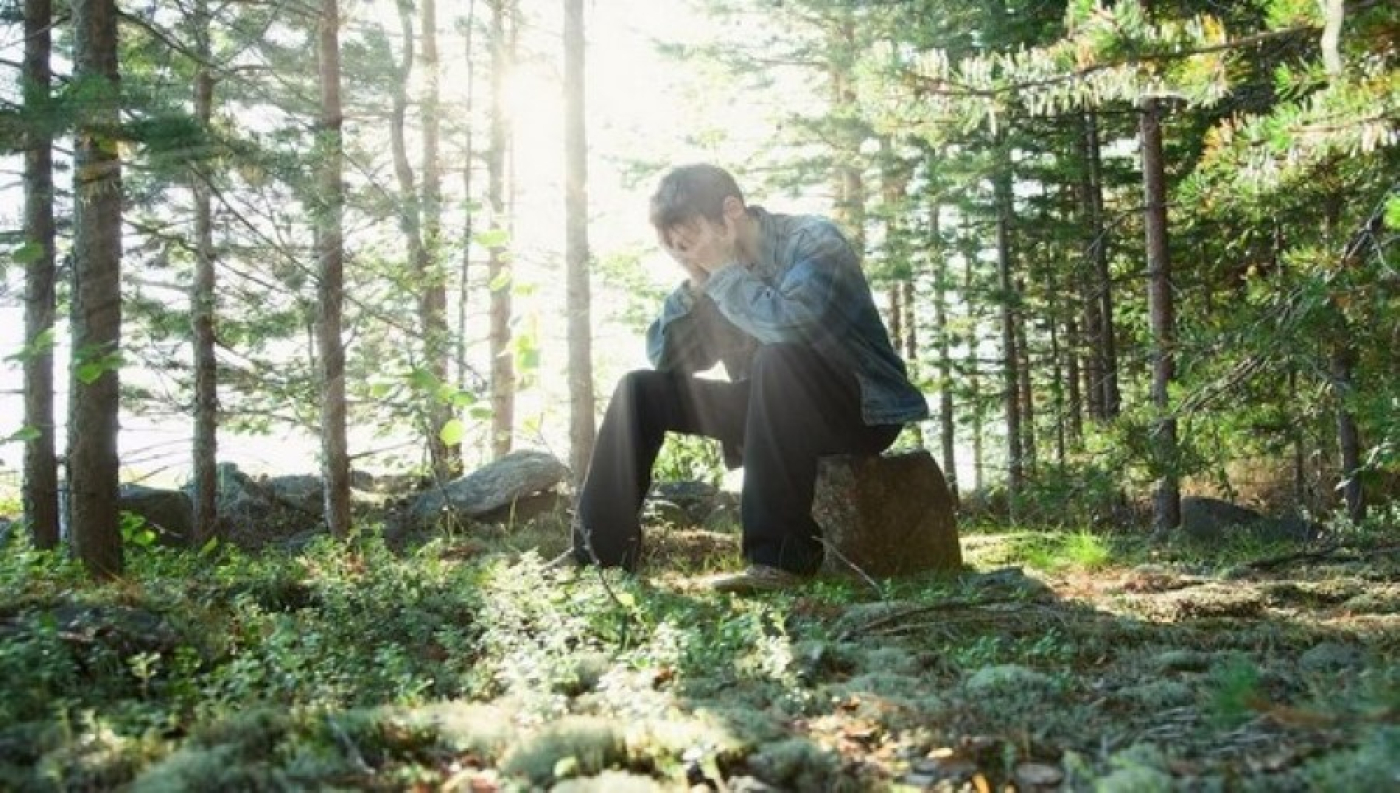 В лес можно, но соблюдайте правила безопасности!