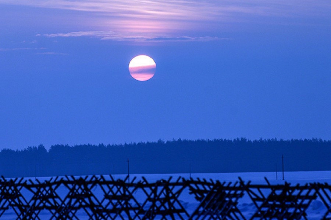 Насколько точны прогнозы погоды в Беларуси, рассказал глава Минприроды