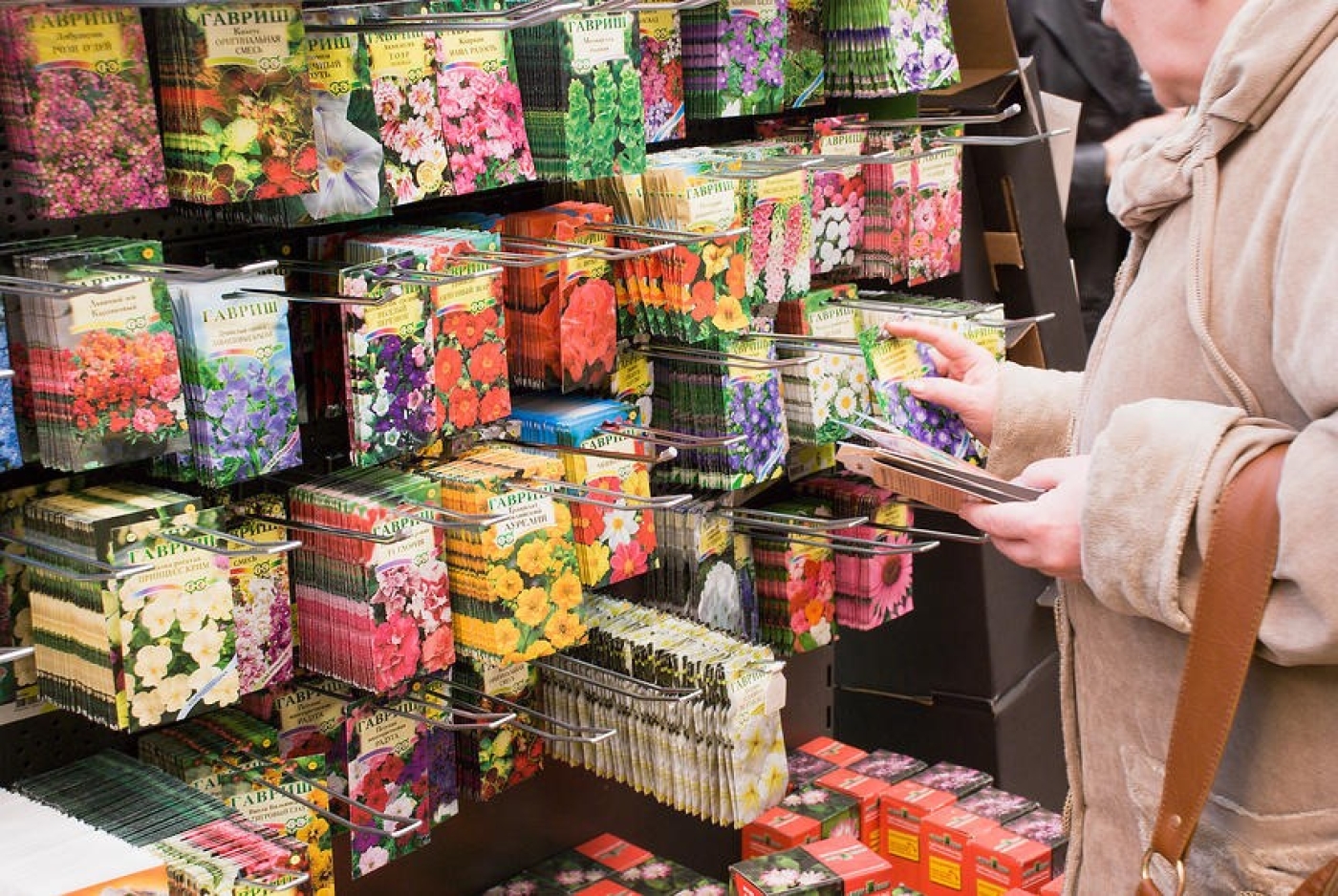 Семена неизвестного происхождения: КГК выявили недобросовестных продавцов, обманывающих садоводов