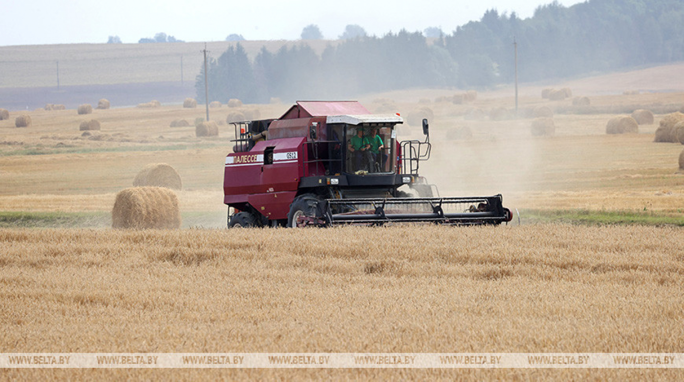 Минсельхозпрод назвал причину рекордов сельскохозяйственного года