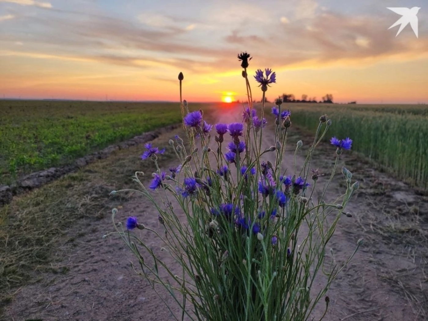 Что с июля изменится в Беларуси