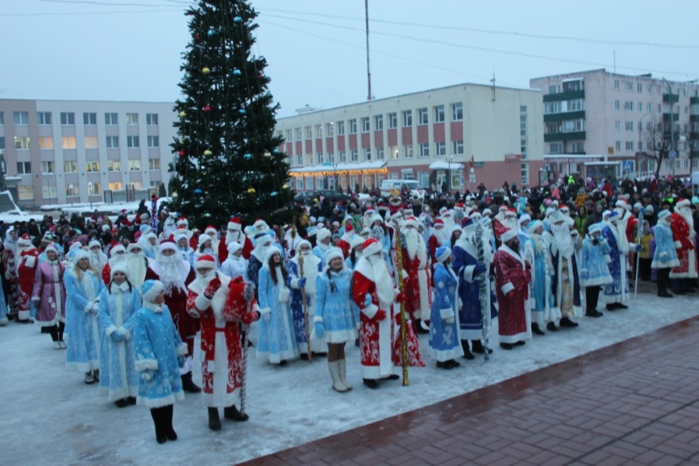 «Зажжём елку вместе»