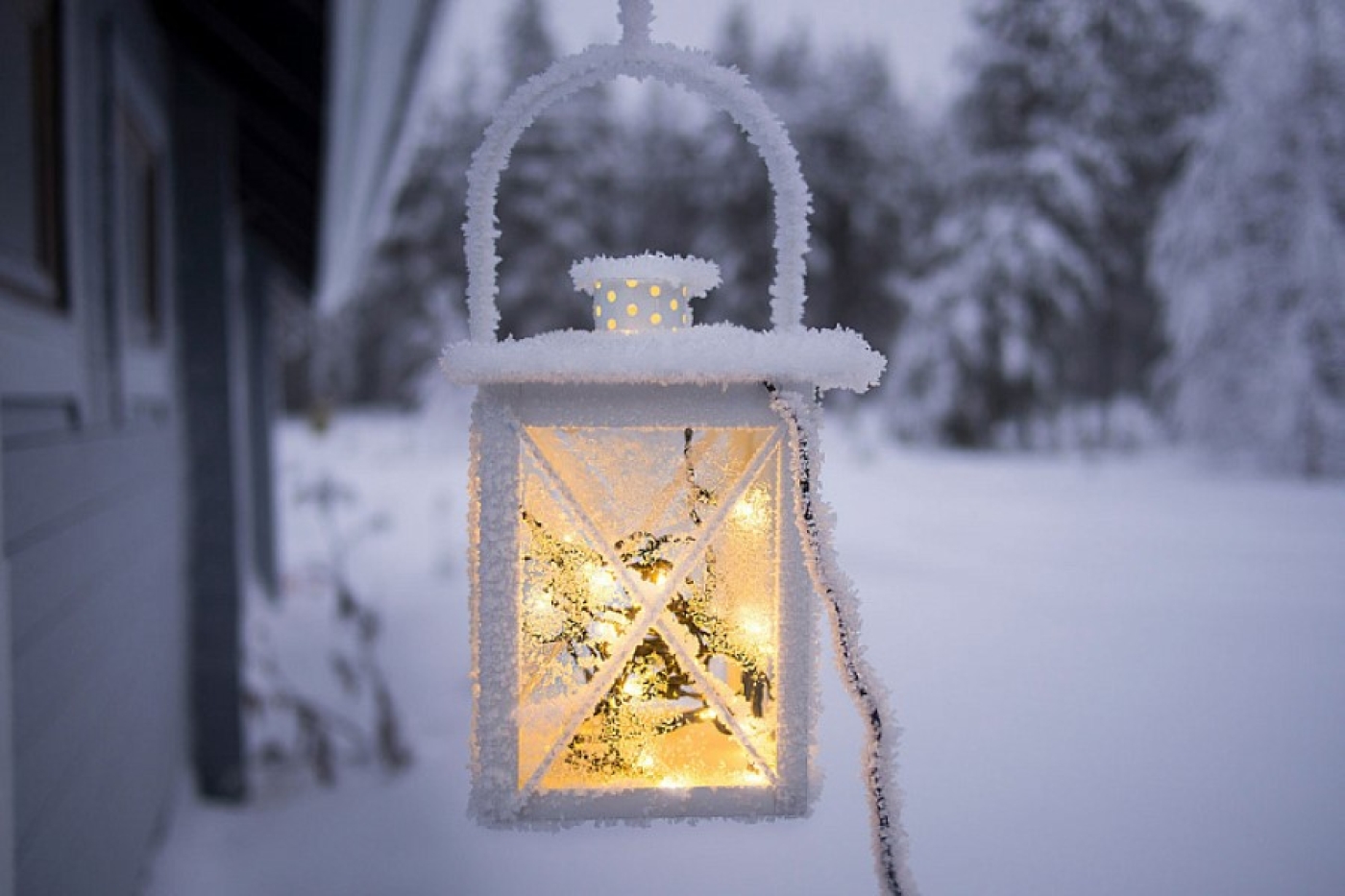 Морозы крепчают. Рябов — о погоде в Беларуси с 12 по 18 января