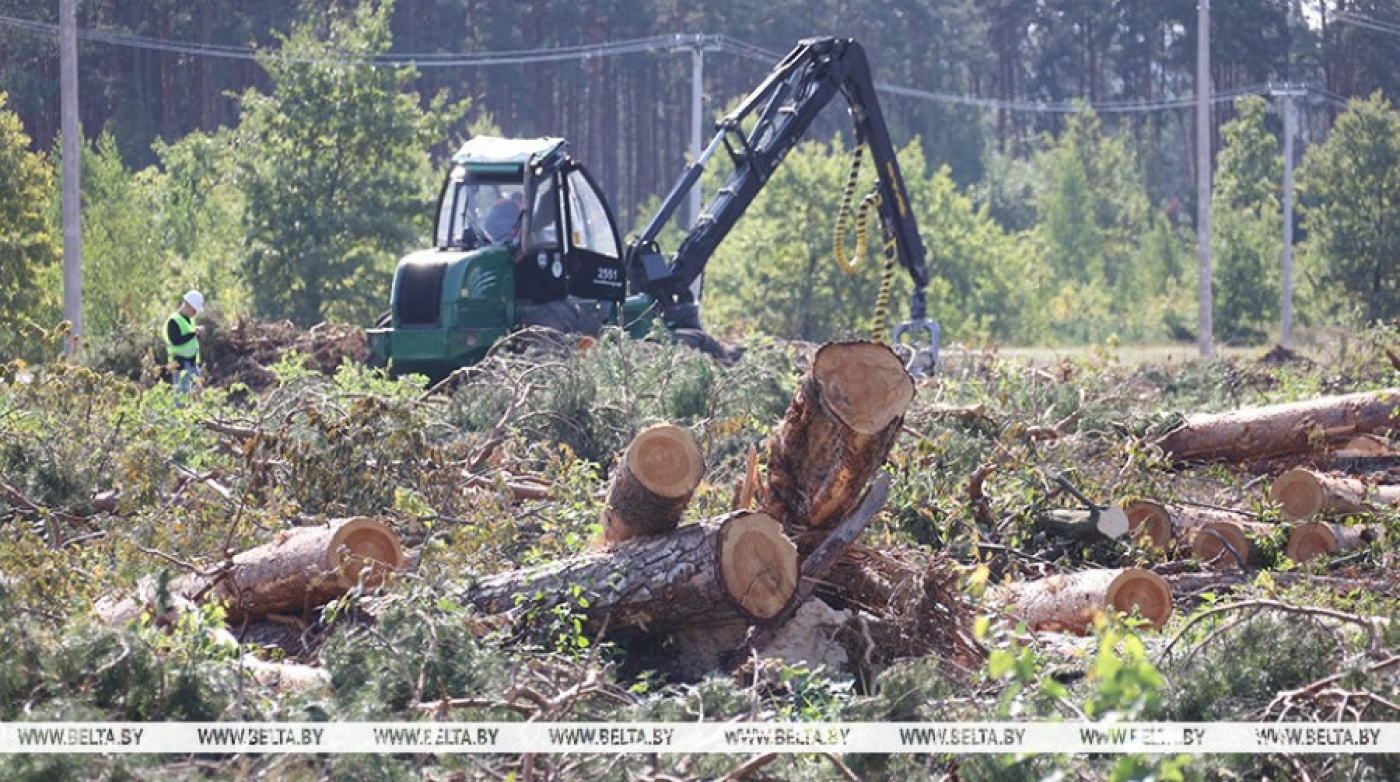 Лукашенко в Мозырском районе ознакомится с работами по устранению последствий стихии