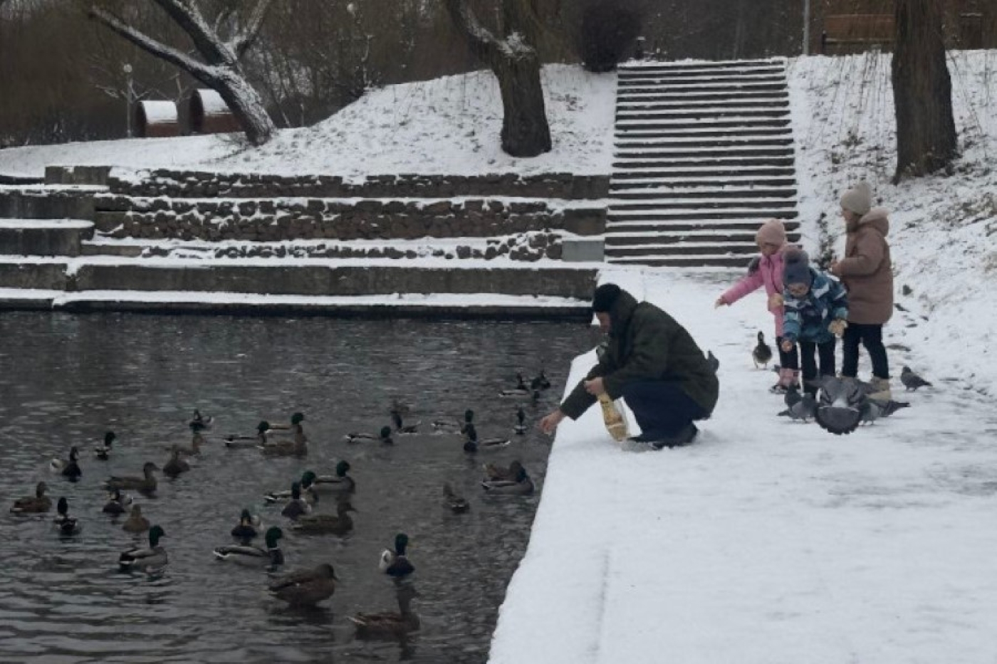 Как правильно подкармливать птиц в морозы, рассказал специалист