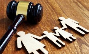 Государственный контроль за удержанием и перечислением алиментов