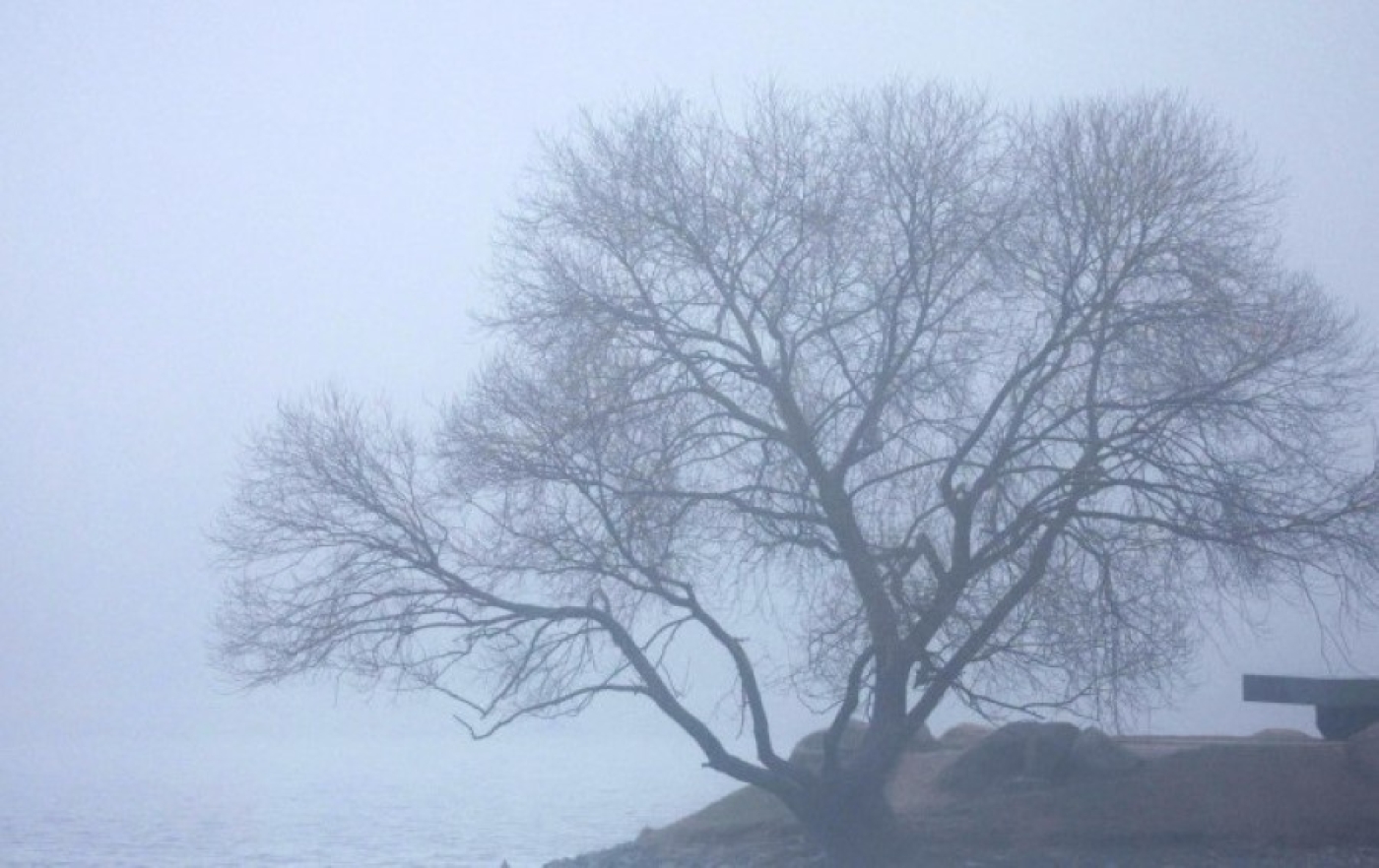 Ночные заморозки, дождь и мокрый снег ожидаются в Беларуси 16 ноября