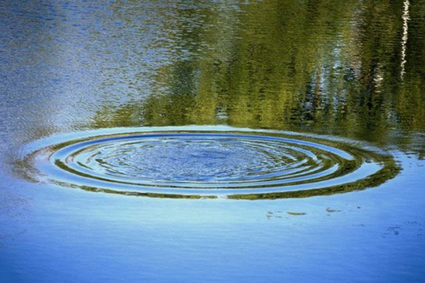 Трагедия в Узденском районе: утонули женщина и ребёнок