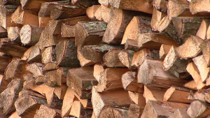 Свыше 1300 жителям области оказана помощь в подготовке к осенне-зимнему периоду.