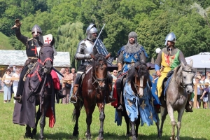 Несвиж сегодня стал площадкой для средневековых боев и светских раундов