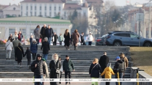 ЦИК подведет итоги выборов делегатов ВНС 16 апреля