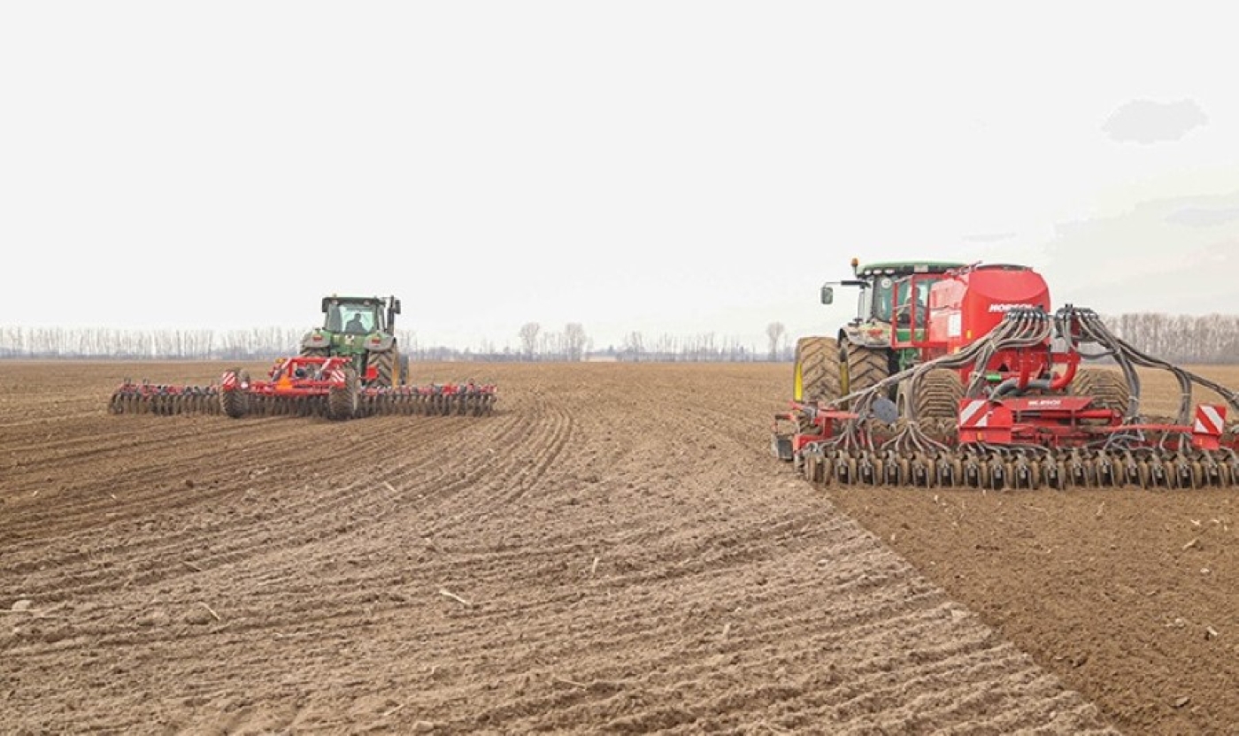 Ранние яровые зерновые и зернобобовые в Беларуси посеяны на более чем 17 тыс. га