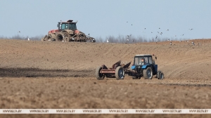 Сев ранних культур близится к финишу: аграрии Беларуси посеяли почти 74% ранних зерновых