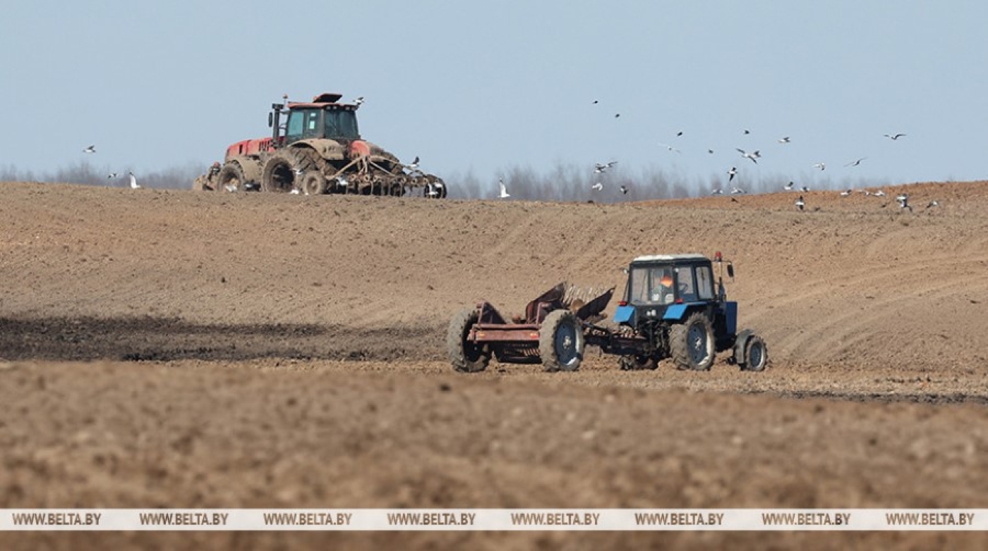Сев ранних культур близится к финишу: аграрии Беларуси посеяли почти 74% ранних зерновых