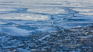 Скрытые опасности зимы: непредсказуемость льда