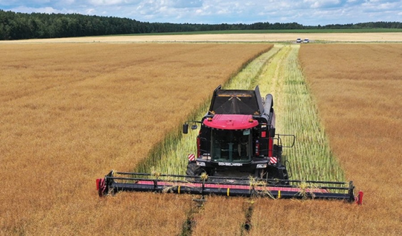 "Сработали лучше, чем прежде". Лукашенко озвучил важные выводы тяжелого сельскохозяйственного года